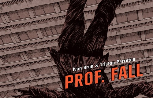 Prof Fall, de Ivan Brun & Tristan Perreton, chez Tanabis